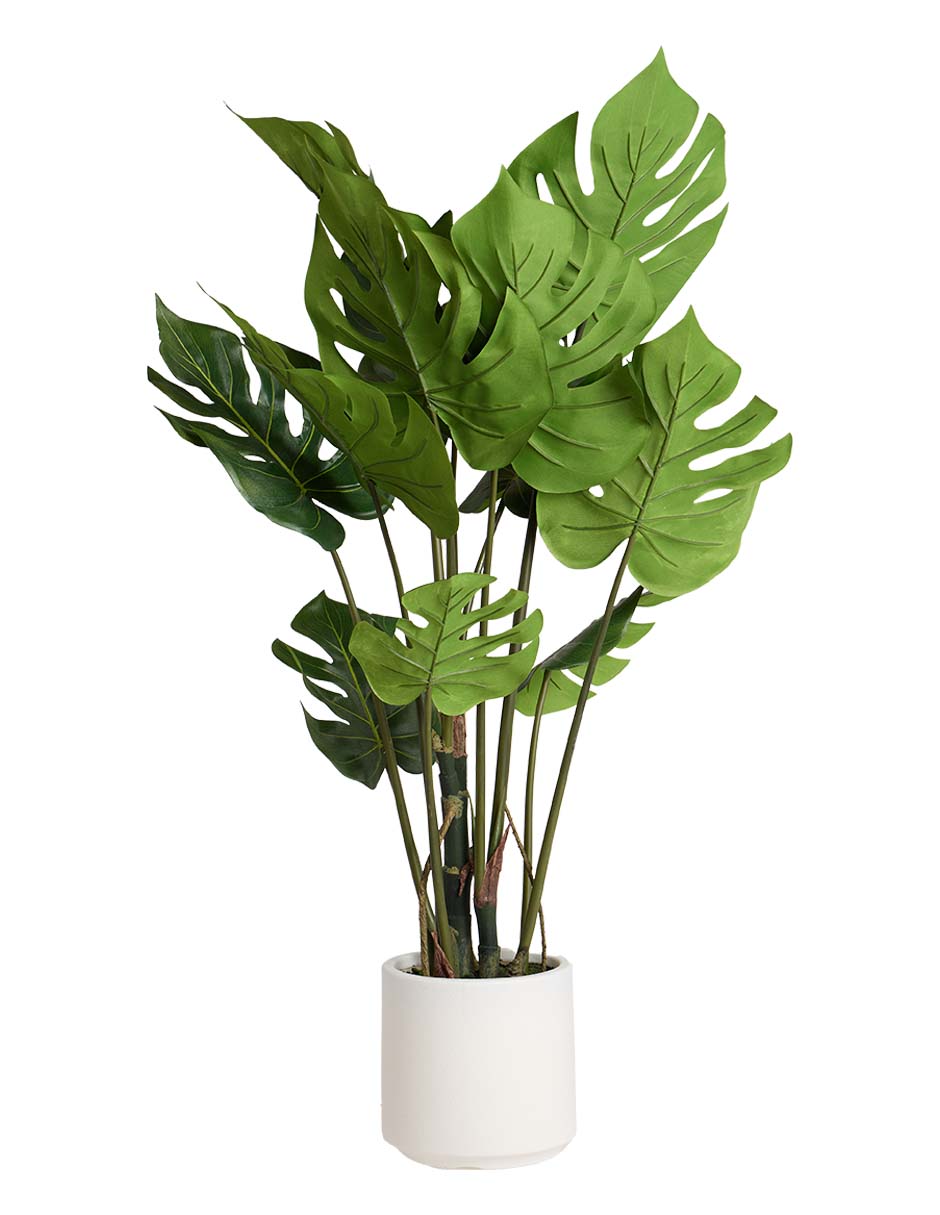 Split philo decorativo