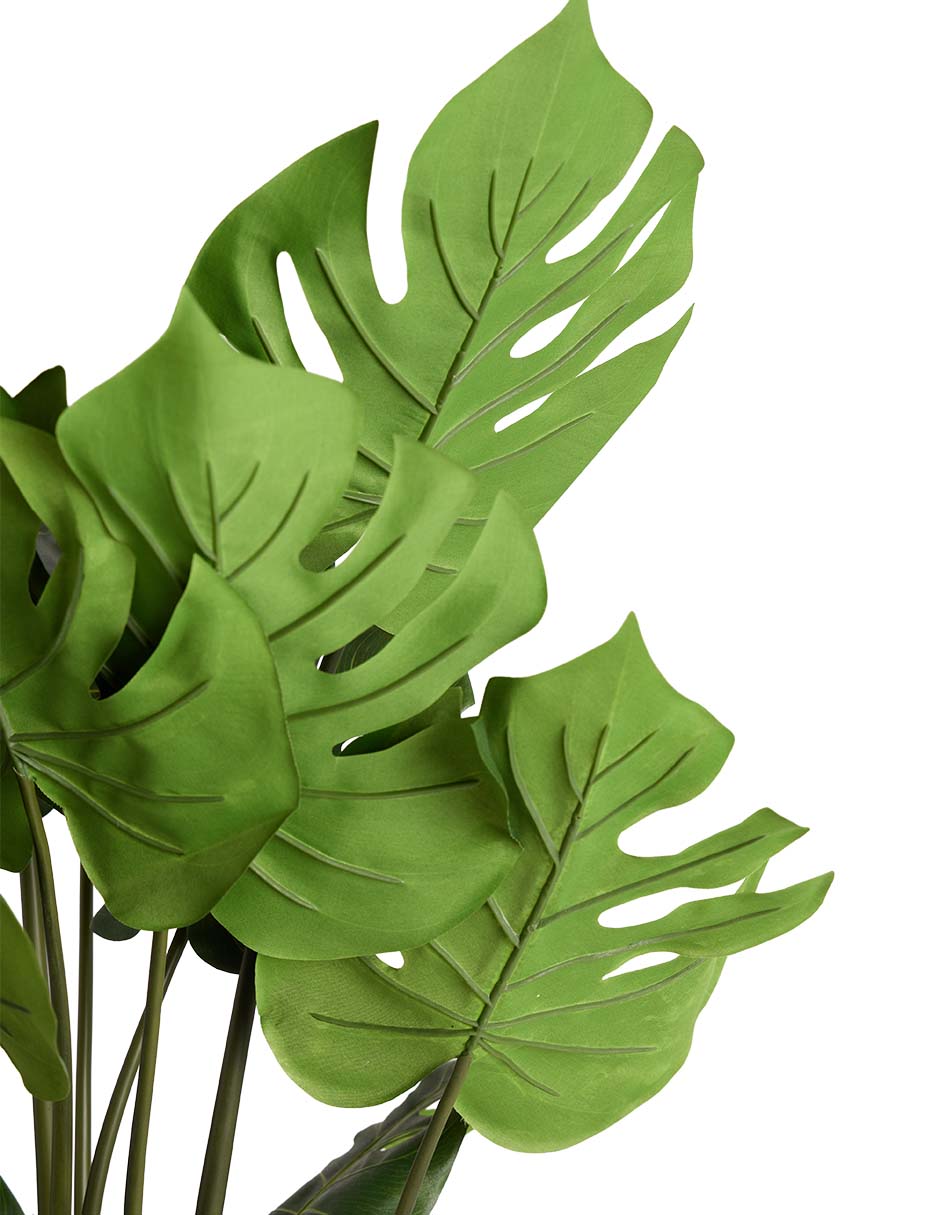 Split philo decorativo 4