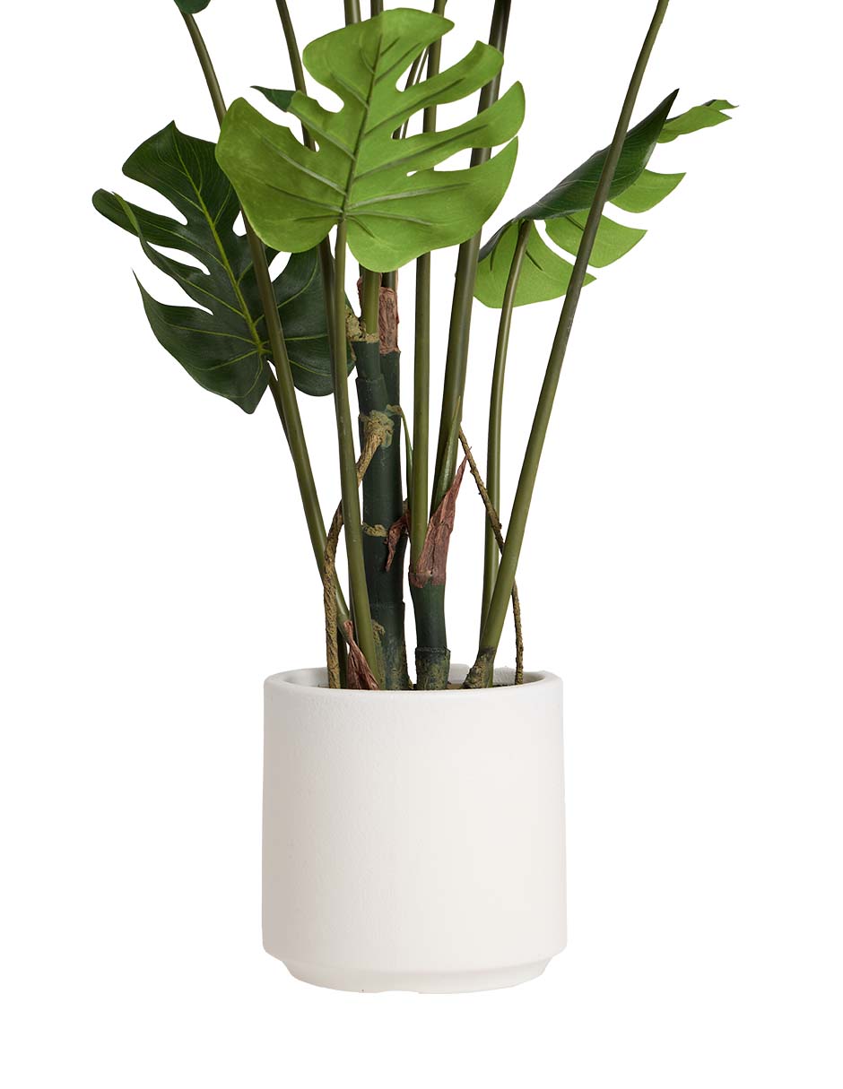 Split philo decorativo 5