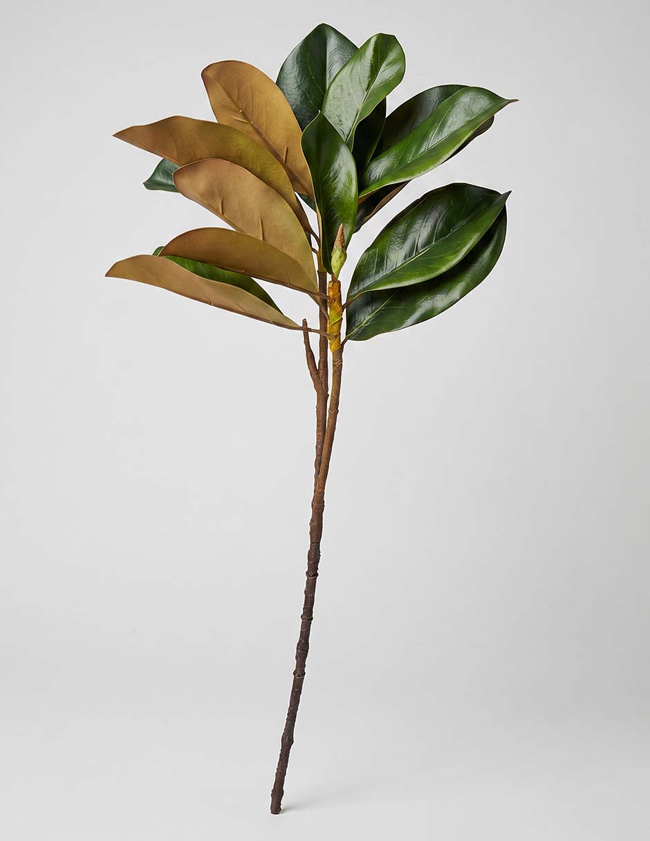 Hojas de magnolia decorativa con acabado mate 1