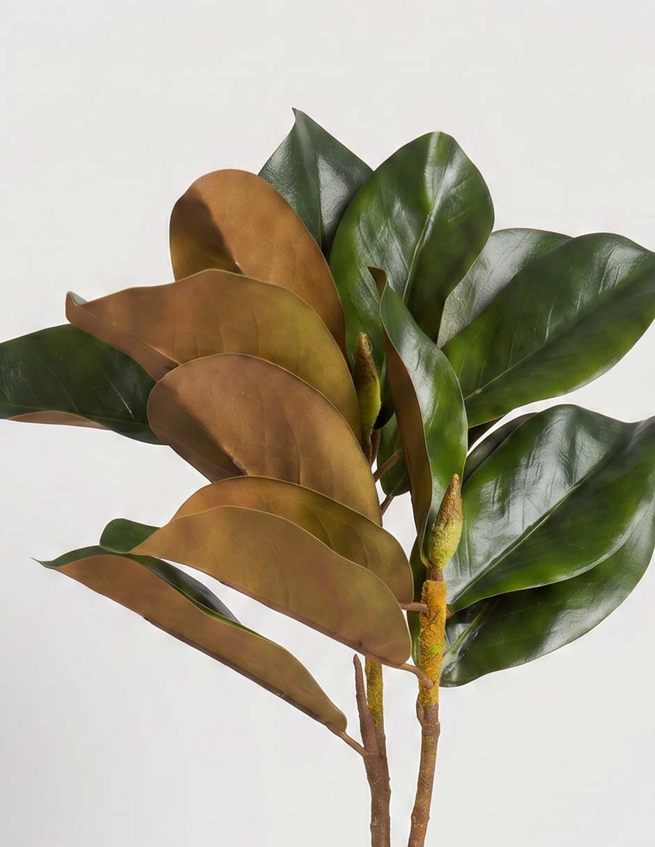 Hojas de magnolia decorativa con acabado mate