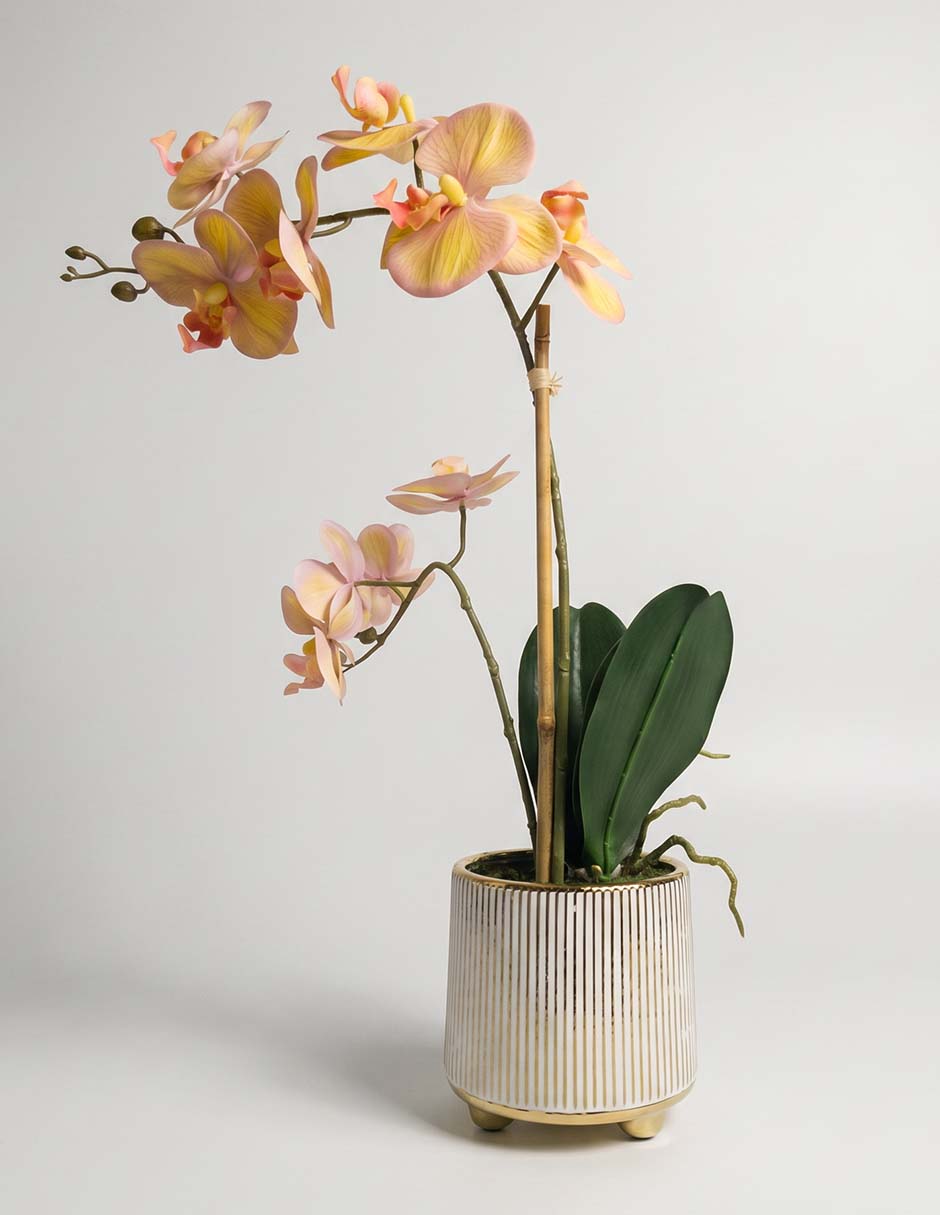 Preelaborado Orquídea