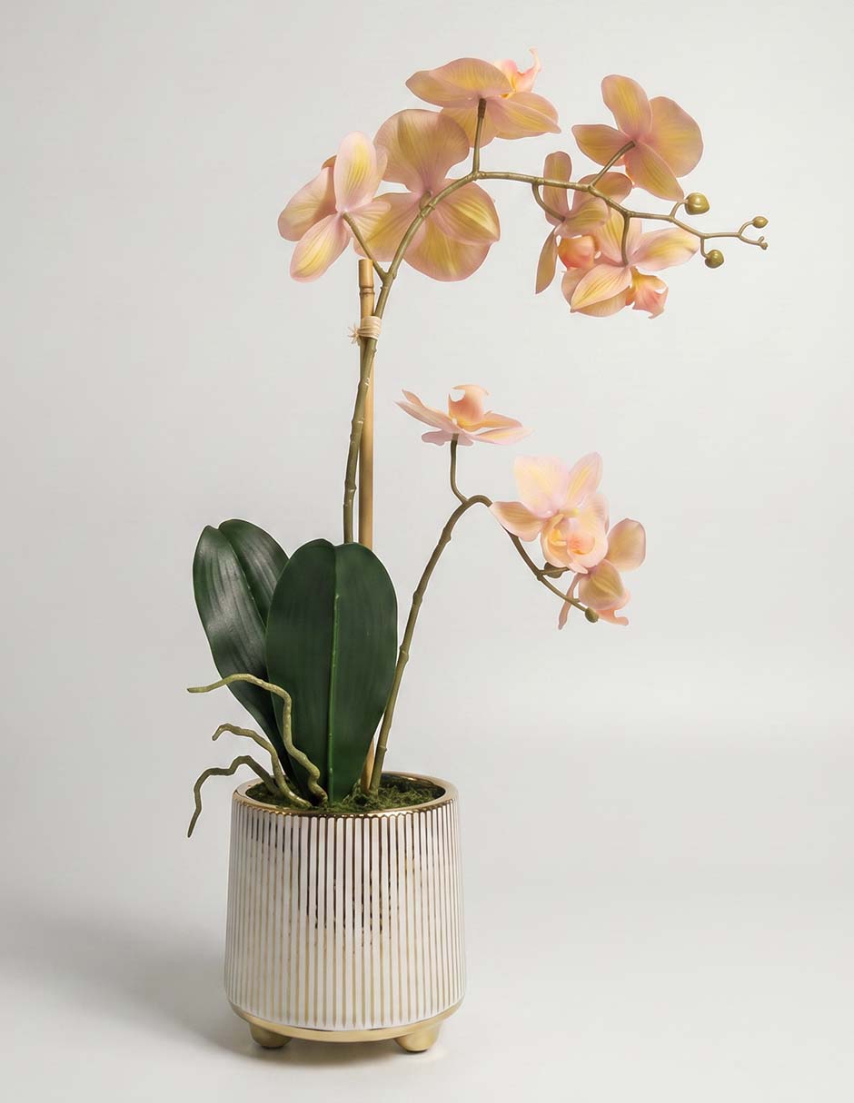 Preelaborado Orquídea