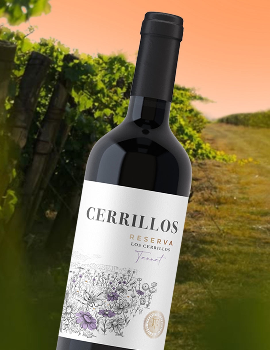 Vino tinto Tannat Gimenez Mendez Cerrillos Uruguay 750 ml