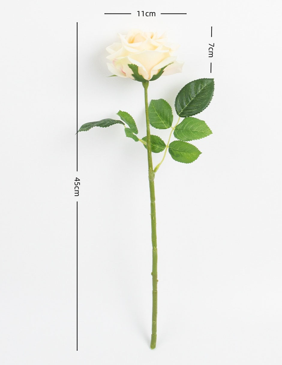 Rosa 2