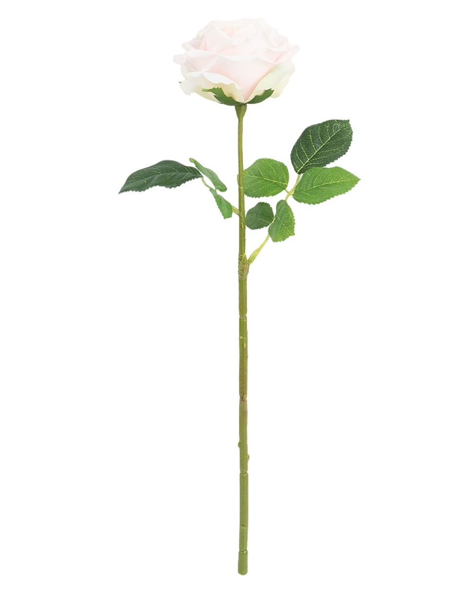 Rosa claro 4