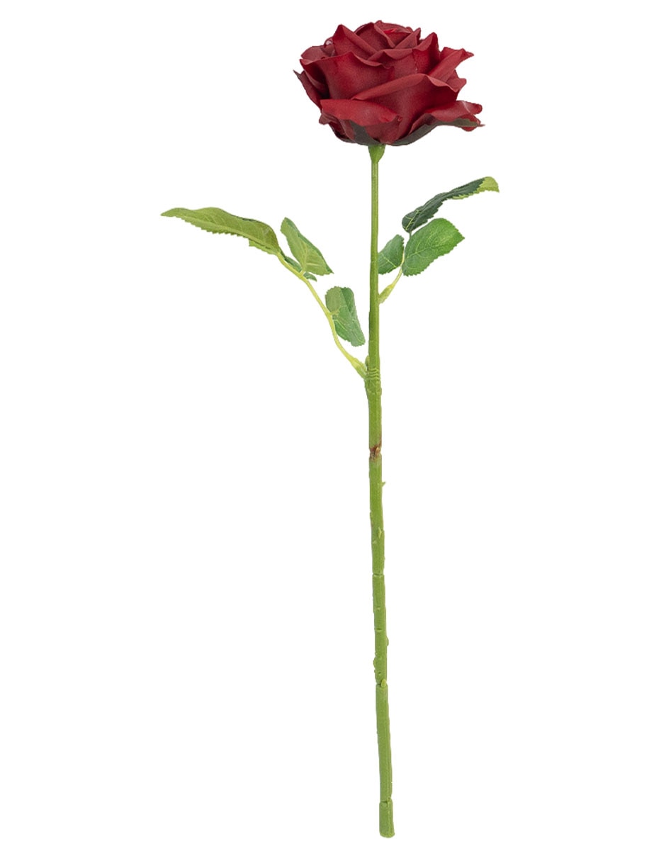 Rojo 2