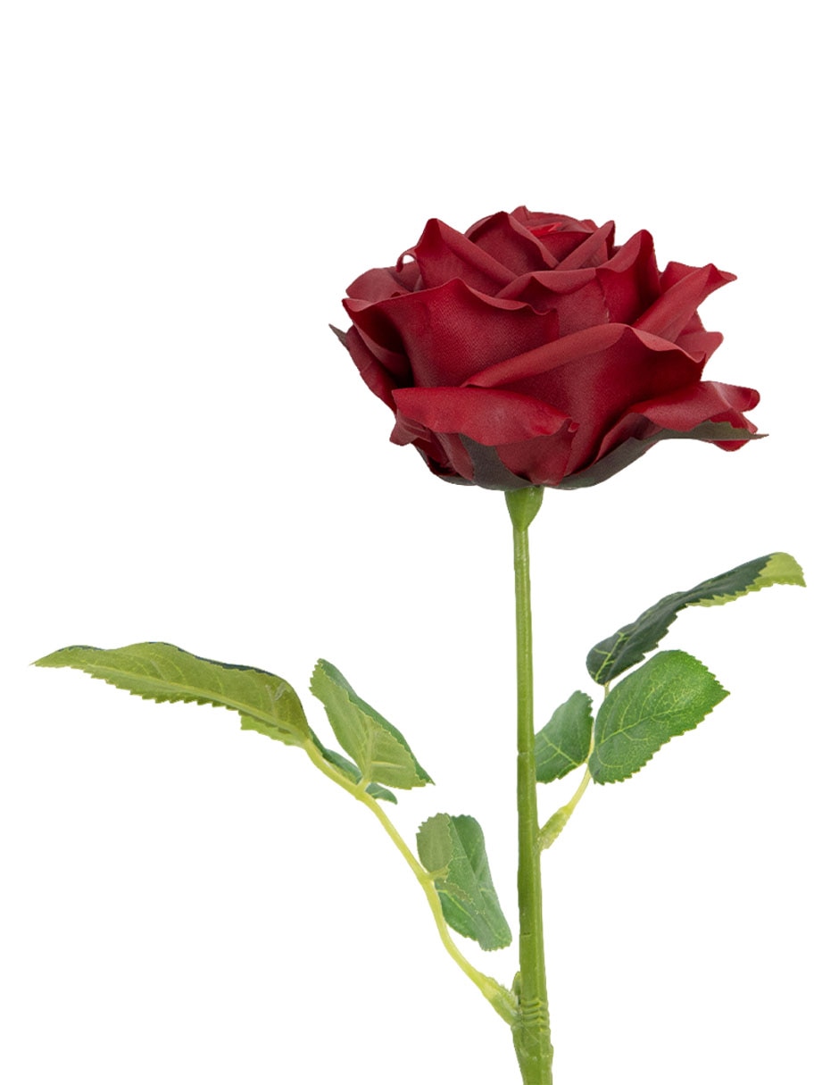 Rosa Haus