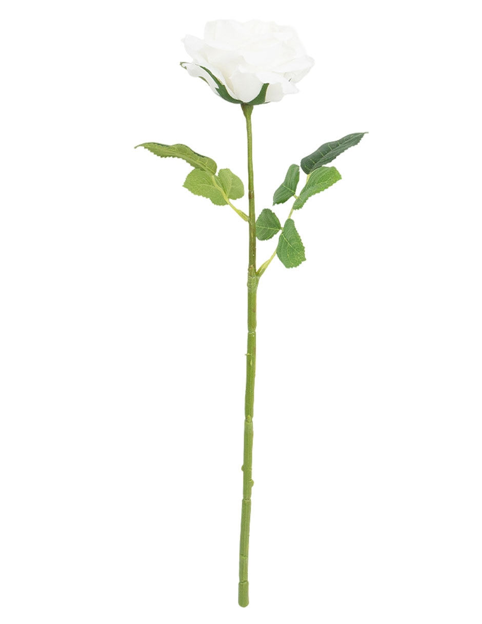 Blanco 3