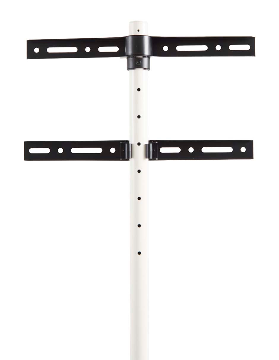 Caballete Ground para pantalla fijo 43-65 pulgadas