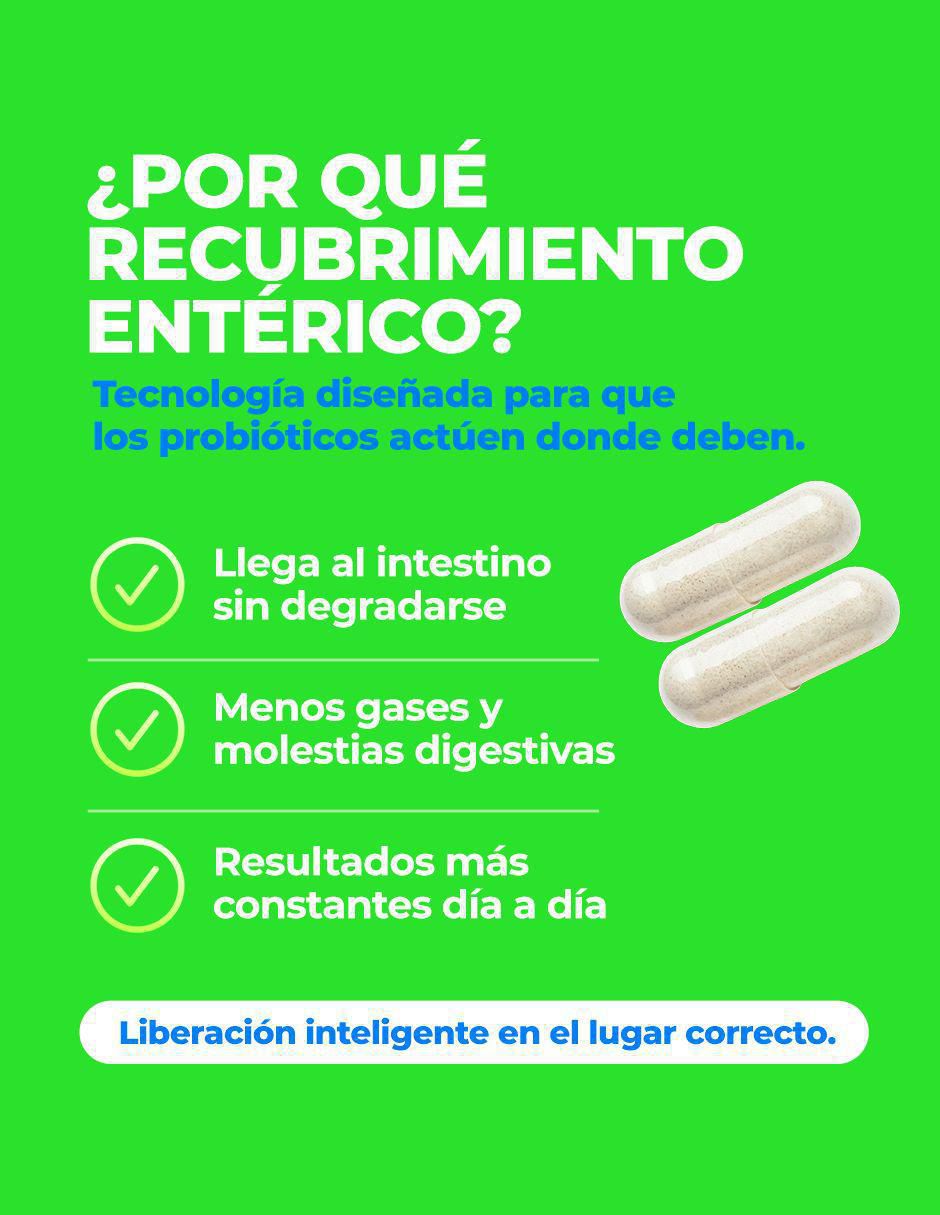 Probióticos + Enzimas de 60 cápsulas Probióticos + Enzimas de 60 cápsulas
