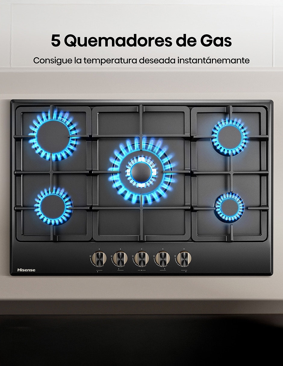 Parrilla a gas lp empotrable Hisense