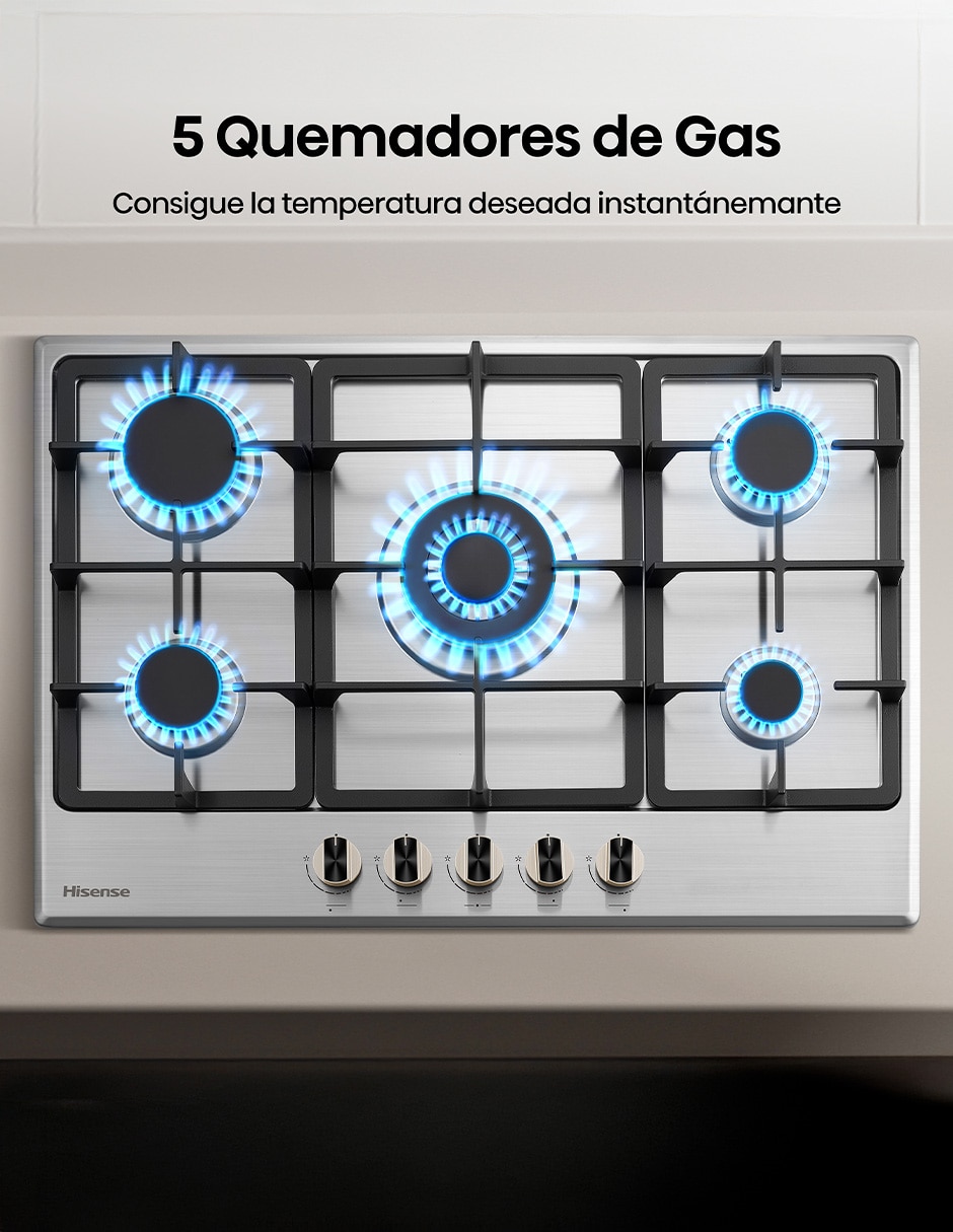 Parrilla a gas lp empotrable 6