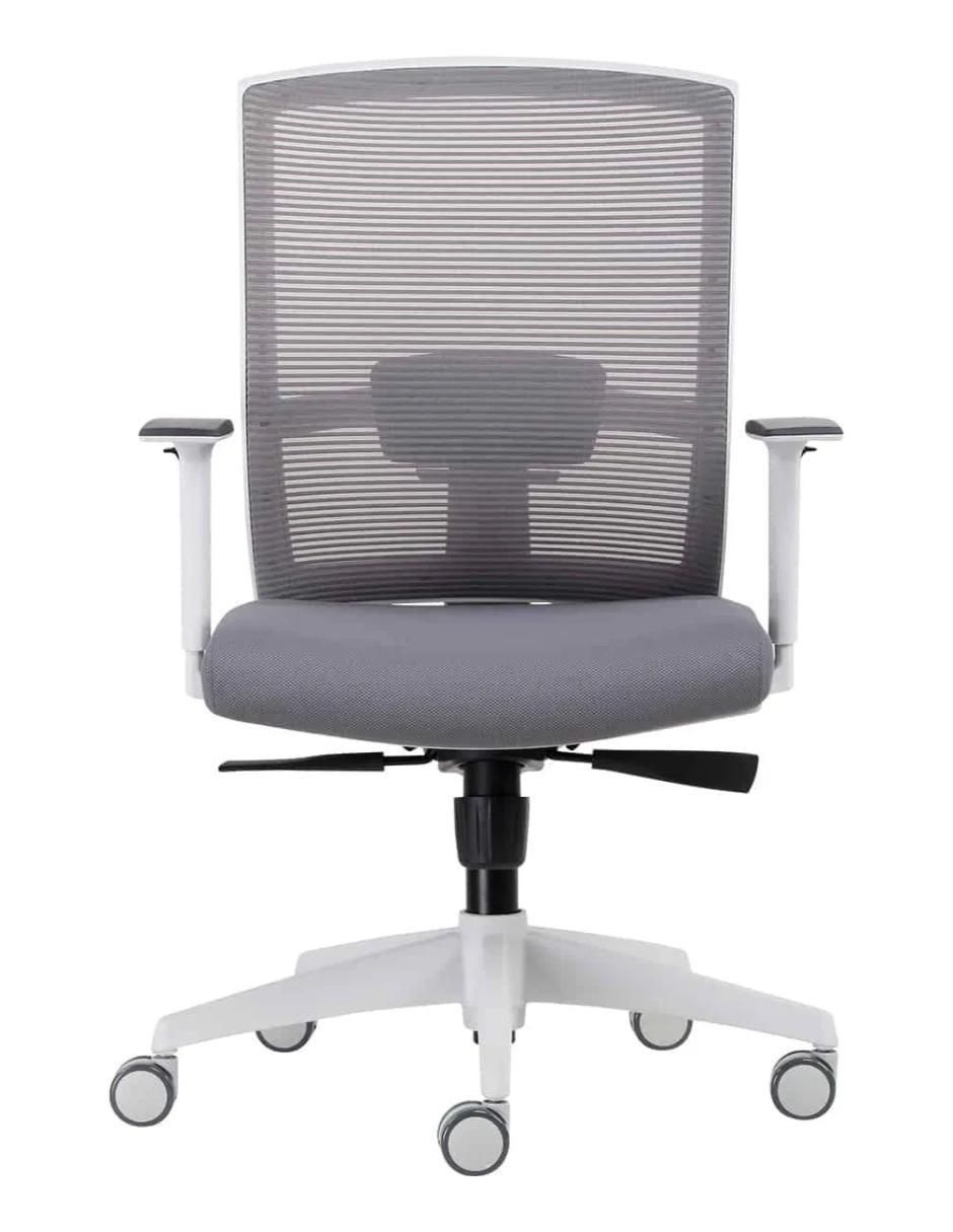 Silla escritorio Ergonómica Taylor Gris Claro 1