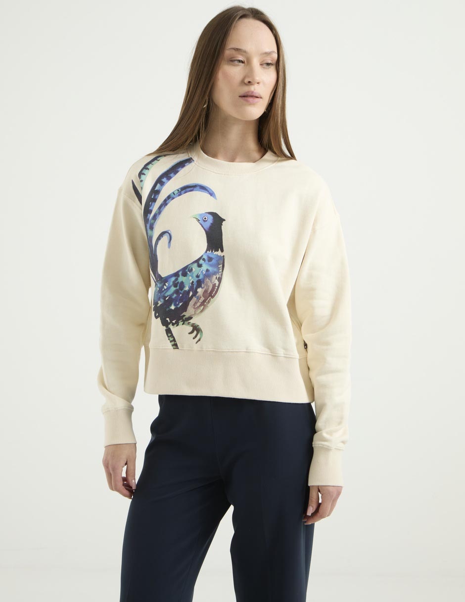 Suéter Scotch & cuello redondo para mujer 1