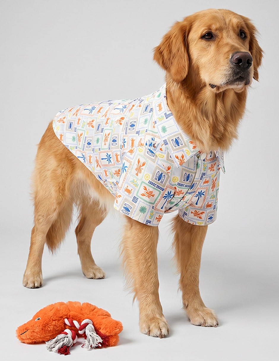 Juguete para perro Now &Then