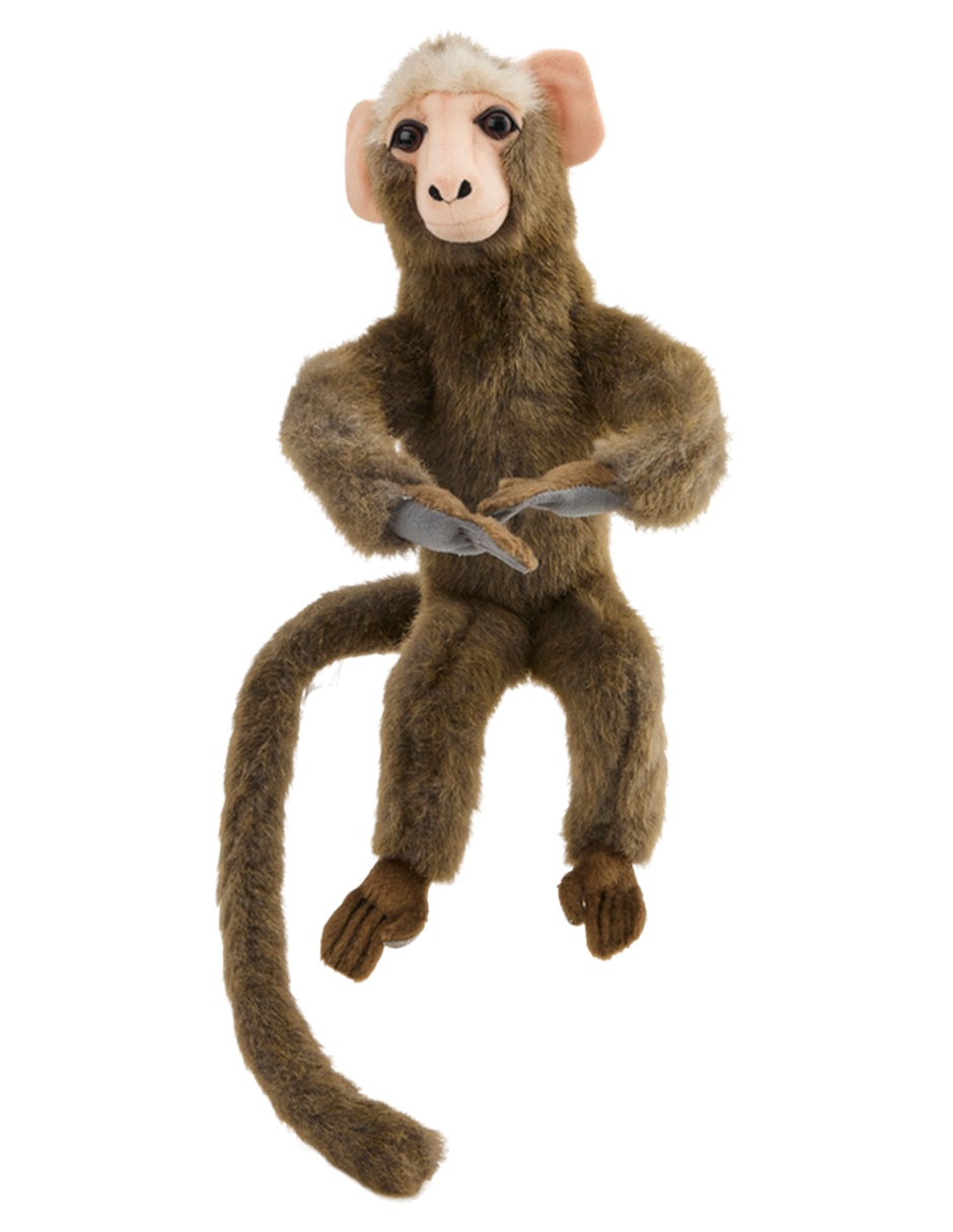 Peluche 1