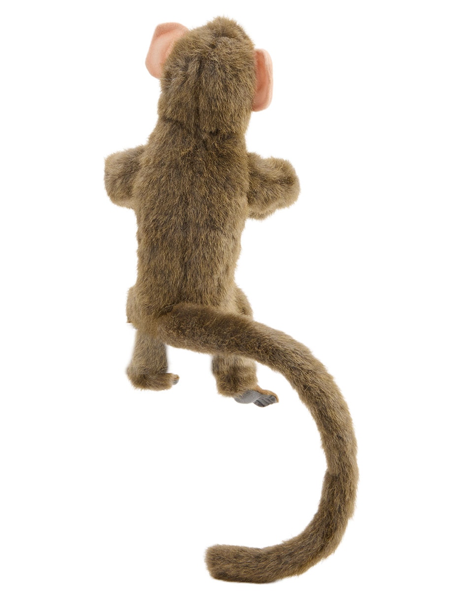 Peluche 3