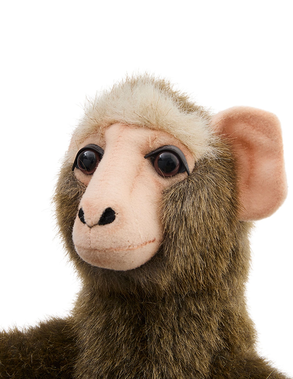 Peluche Peluche