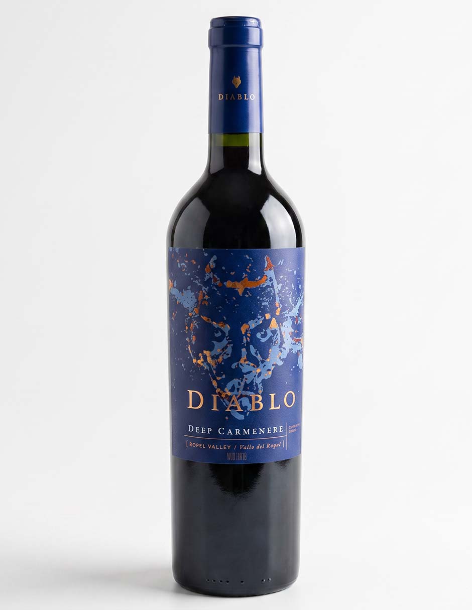 Vino tinto carmenere chile 750 ml 1