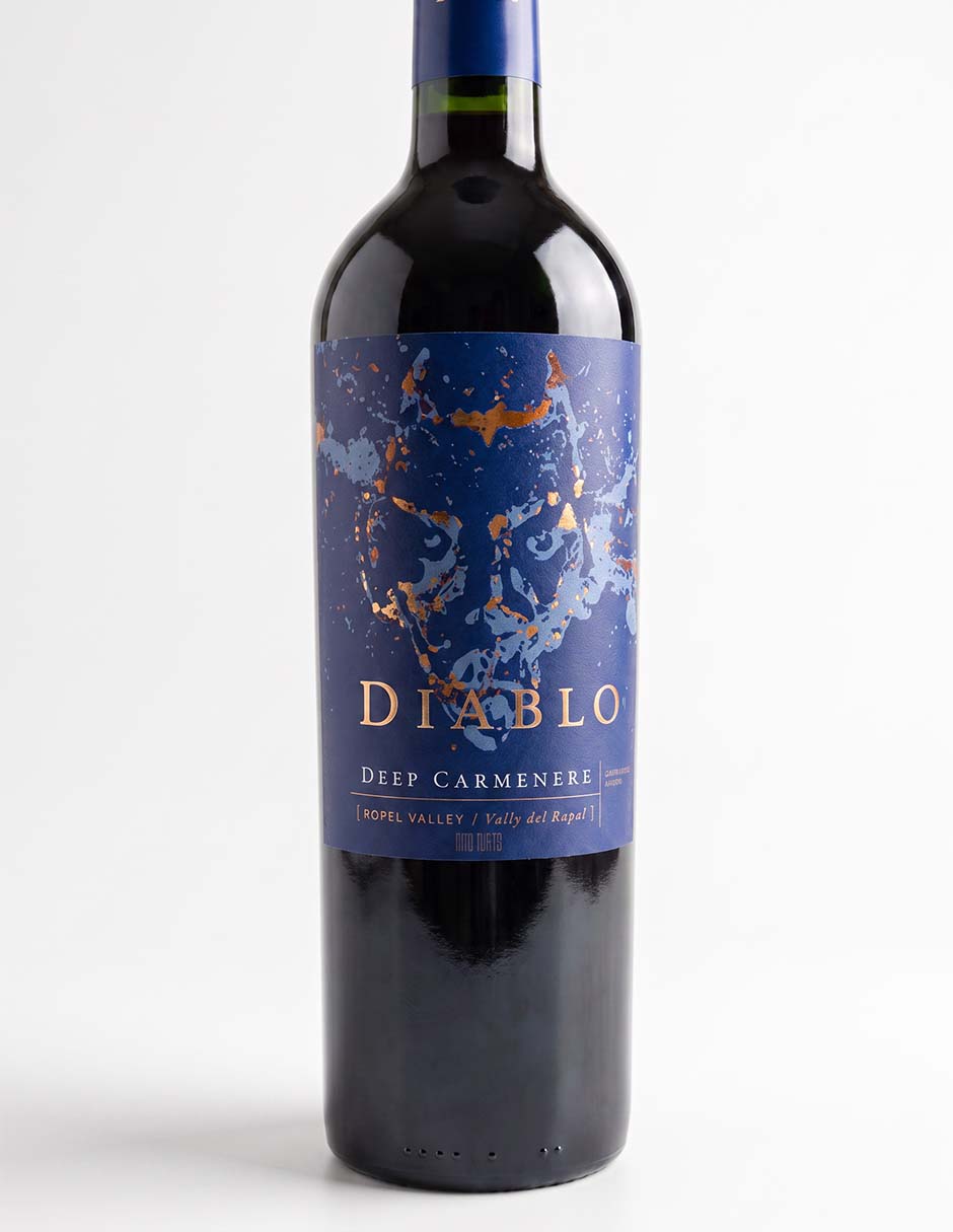 Vino tinto carmenere chile 750 ml 3