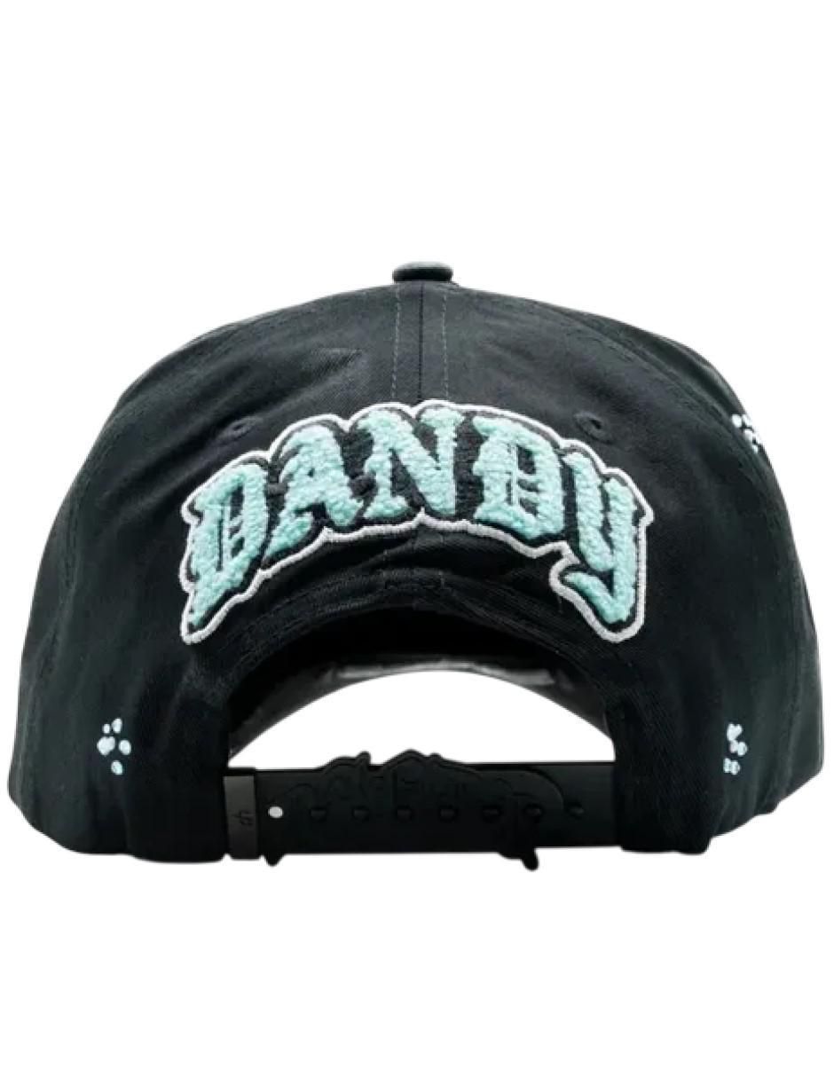 Gorra visera curva snapback casual para hombre