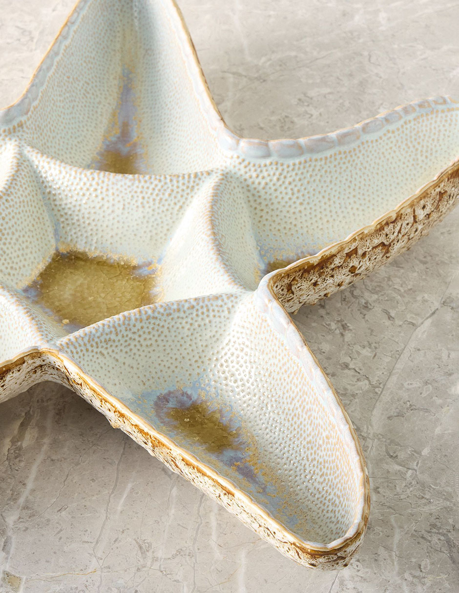 Platón Seashell