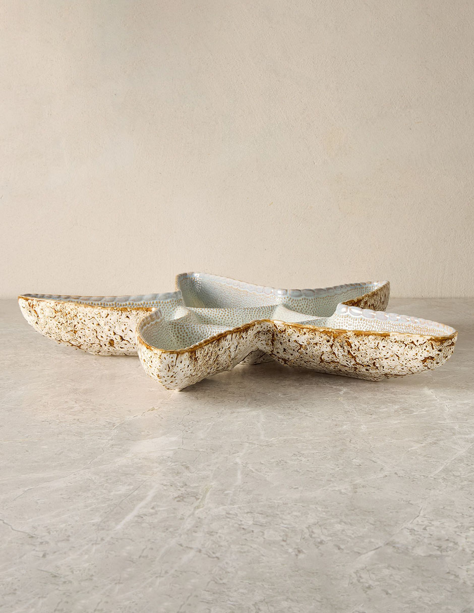 Platón Seashell 3