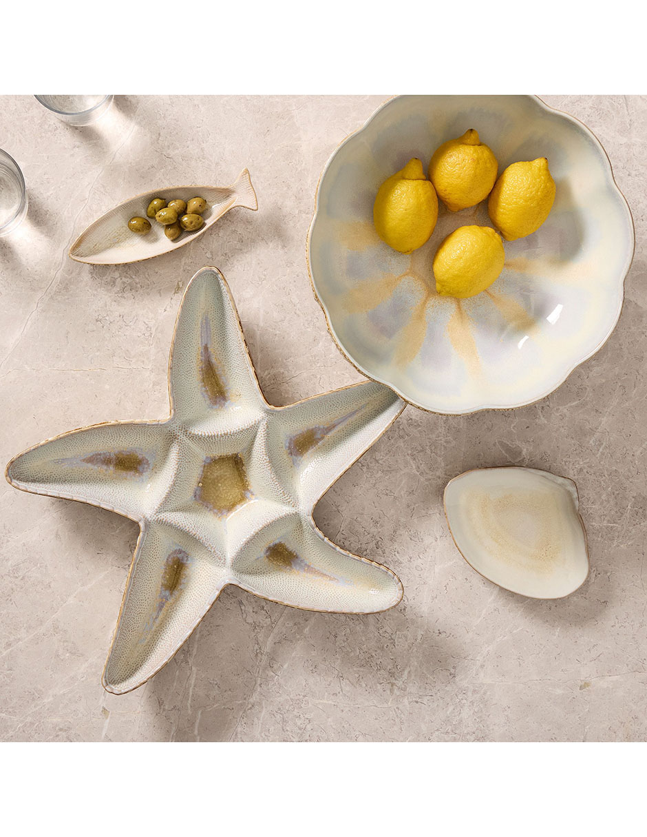 Platón Seashell 5