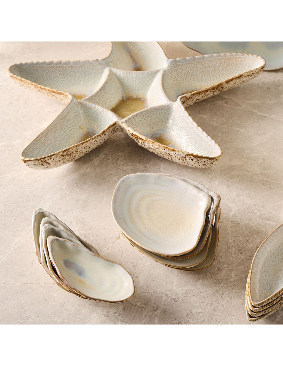 Platón Seashell 6