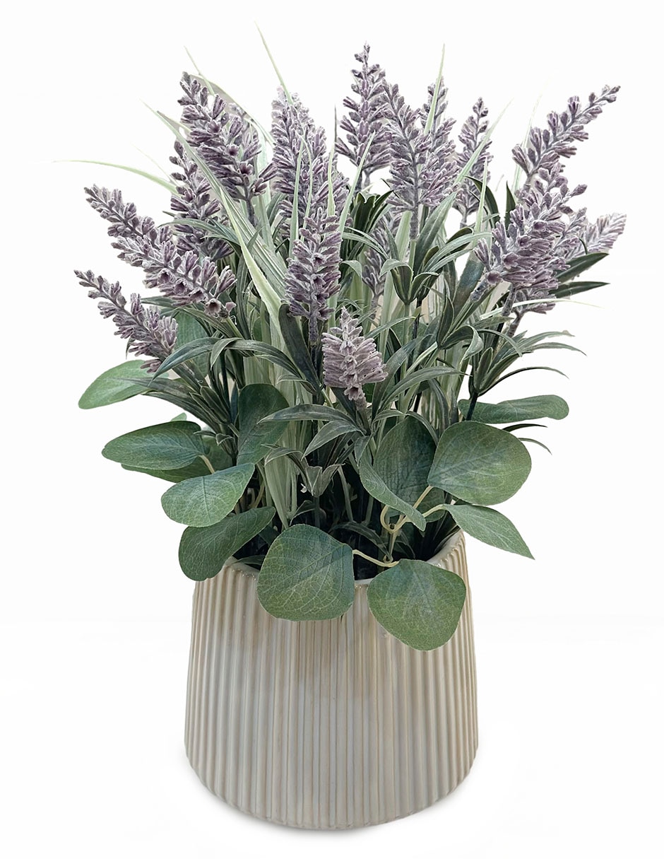 Preelaborado de lavanda
