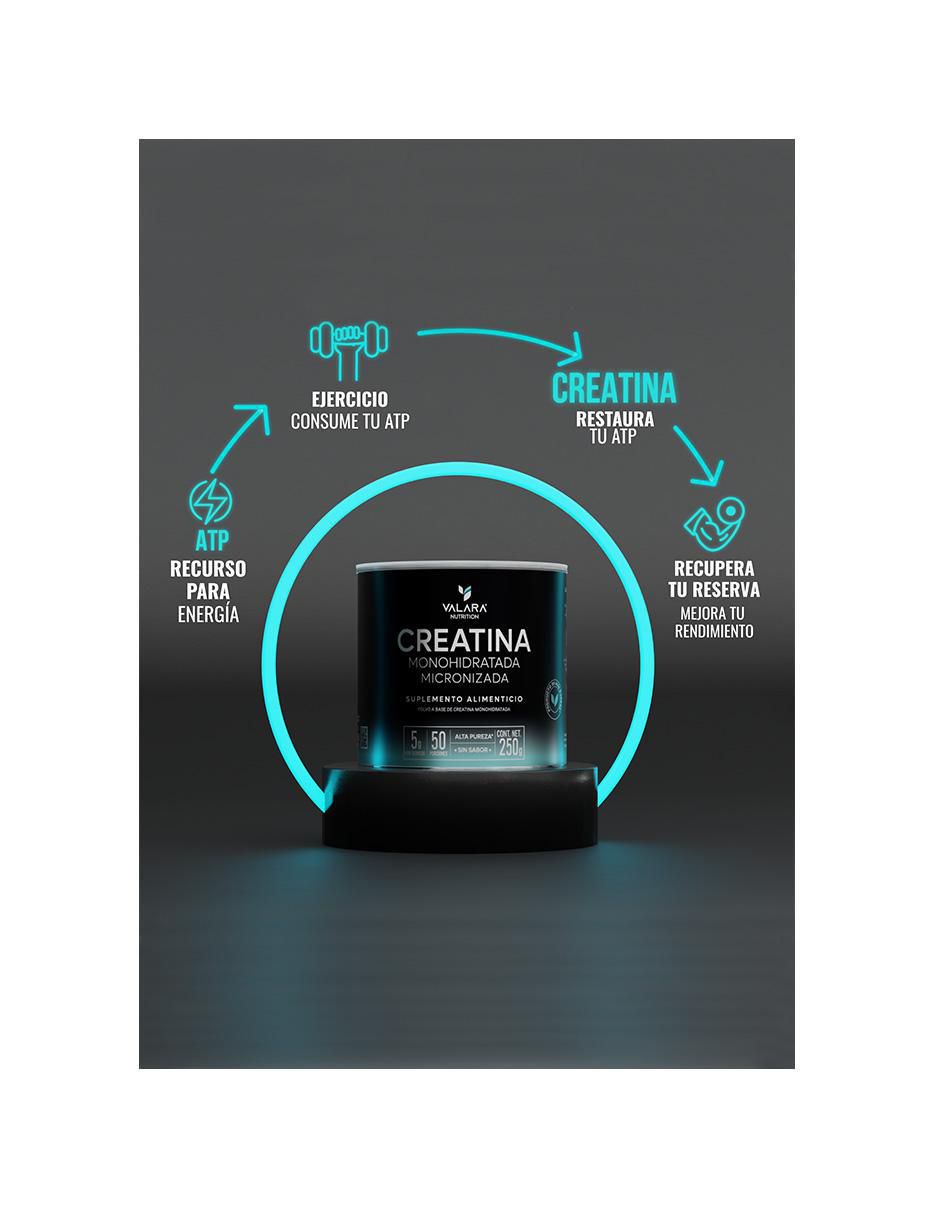Creatina Monohidratada Micronizada de 250 G Creatina Monohidratada Micronizada de 250 G