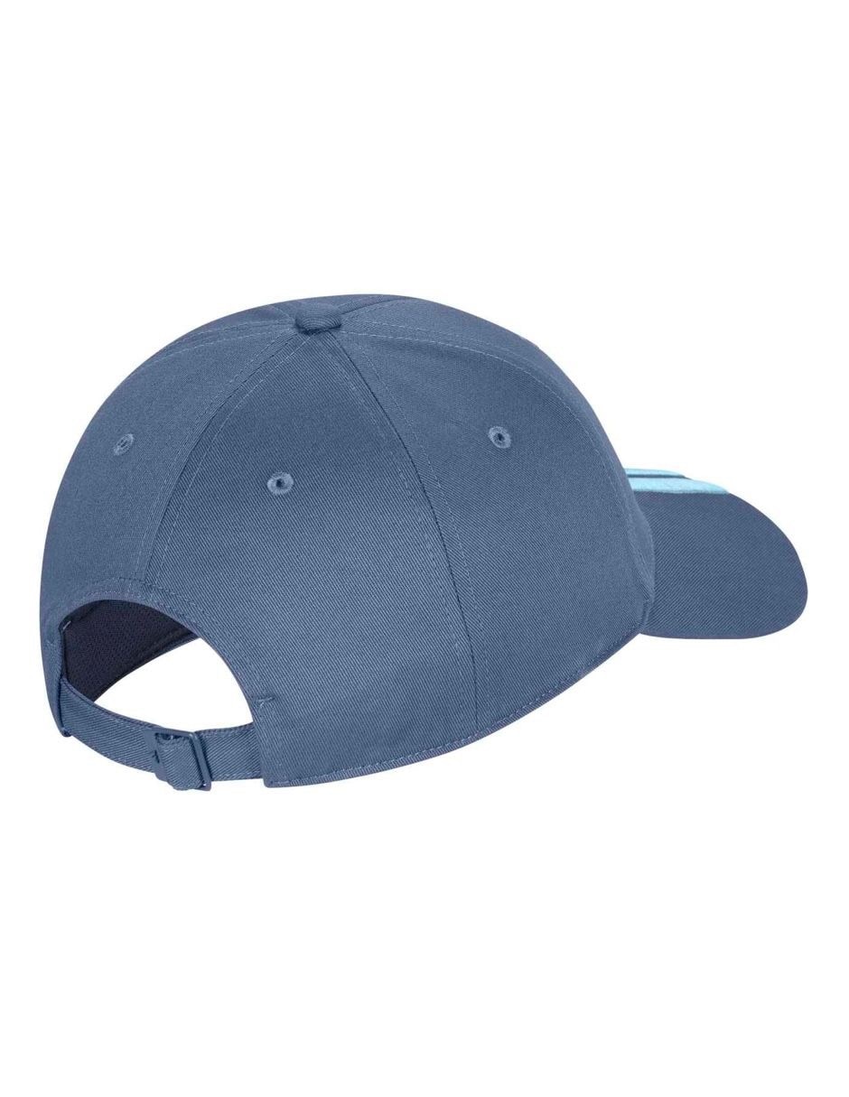 Gorra con visera curva correa ajustable para fútbol Argentina Afa Selección De De Argentina adulto Gorra con visera curva correa ajustable para fútbol Argentina Afa Selección De De Argentina adulto