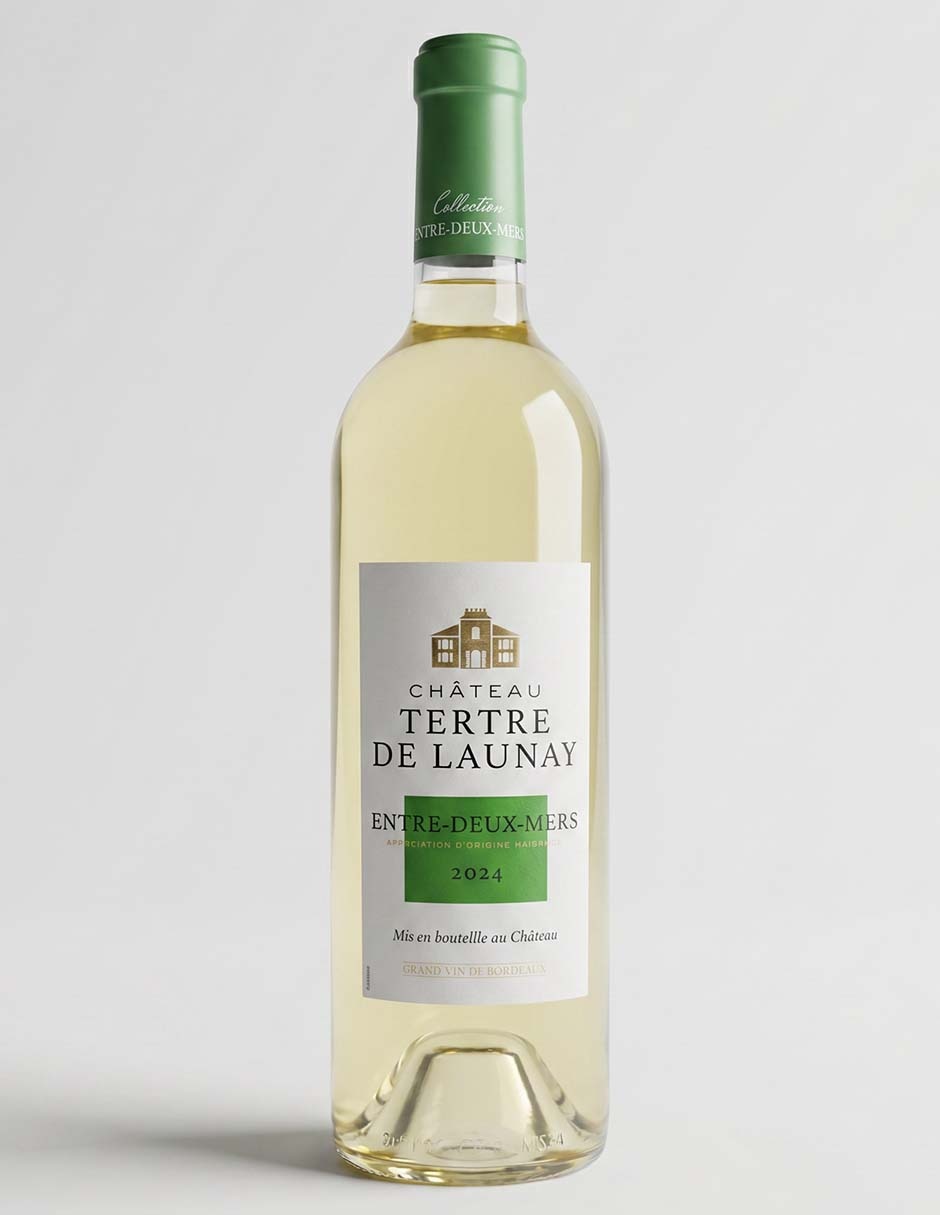 Vino blanco sauvignon blanc de Francia 750 ml 1