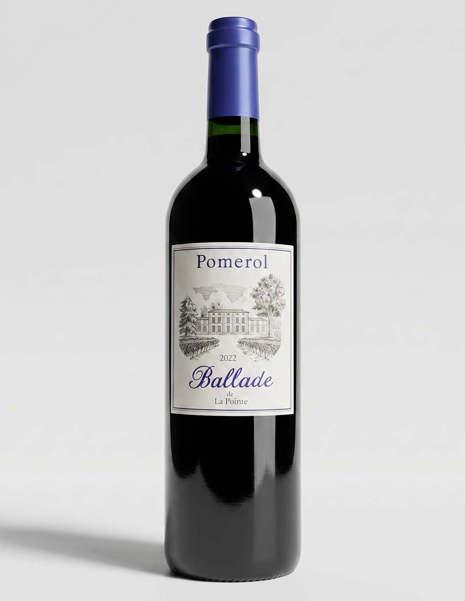 Vino tinto ensamble de Francia 750 ml 1
