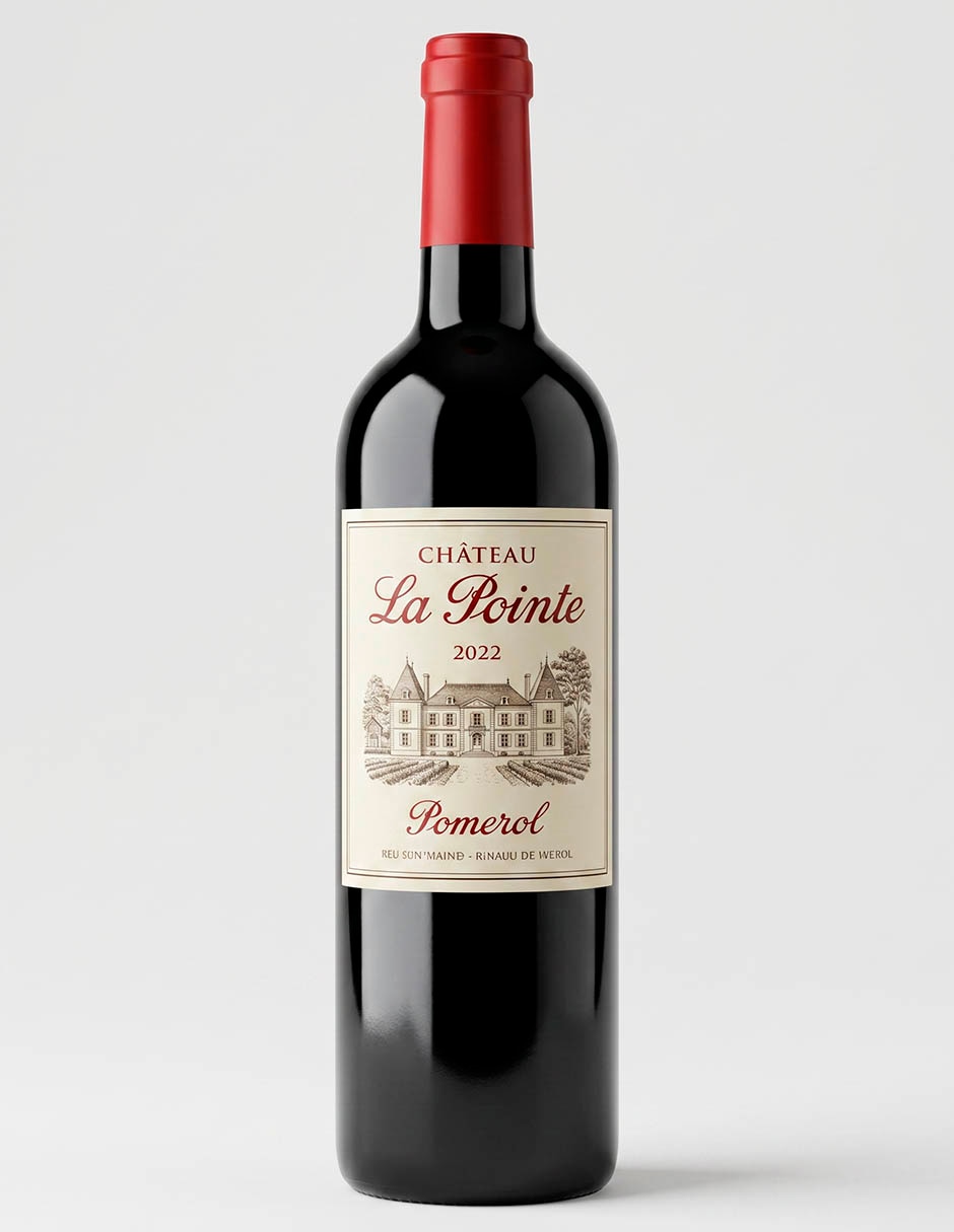 Vino tinto ensamble de Francia 750 ml 1