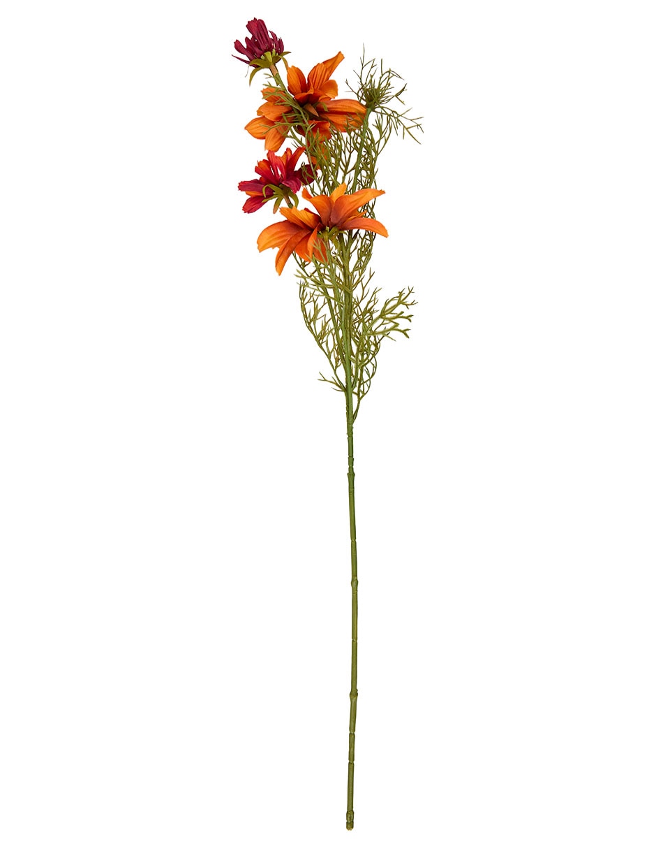 Naranja 3