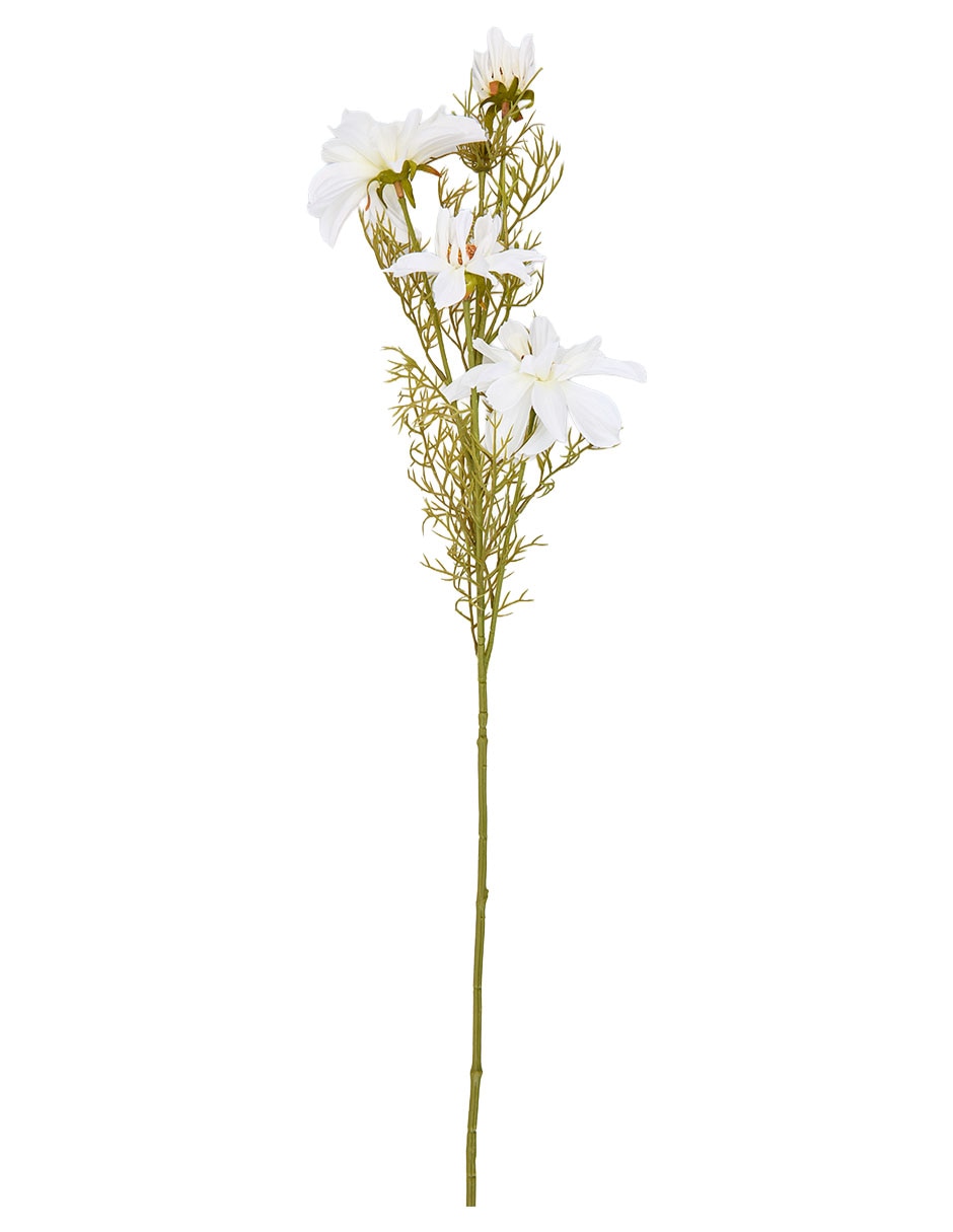 Blanco 4