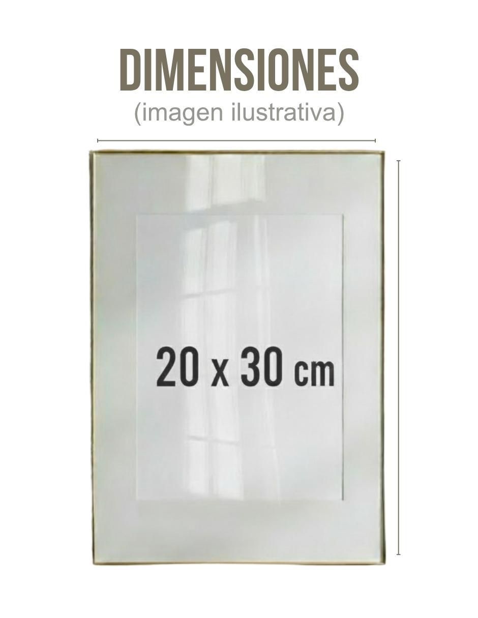 Cuadro decorativo generica abstracto flor jade