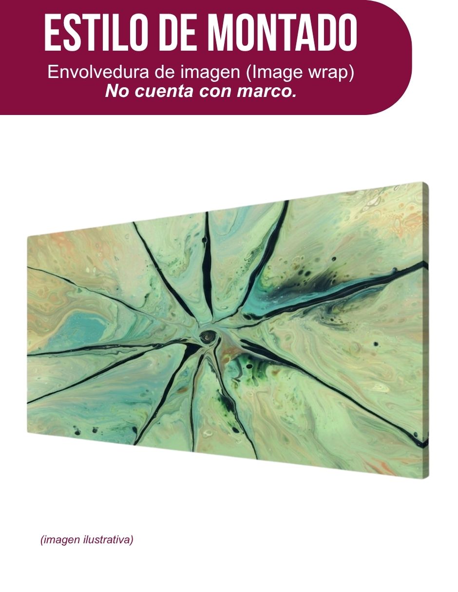 Cuadro decorativo generica abstracto flor jade