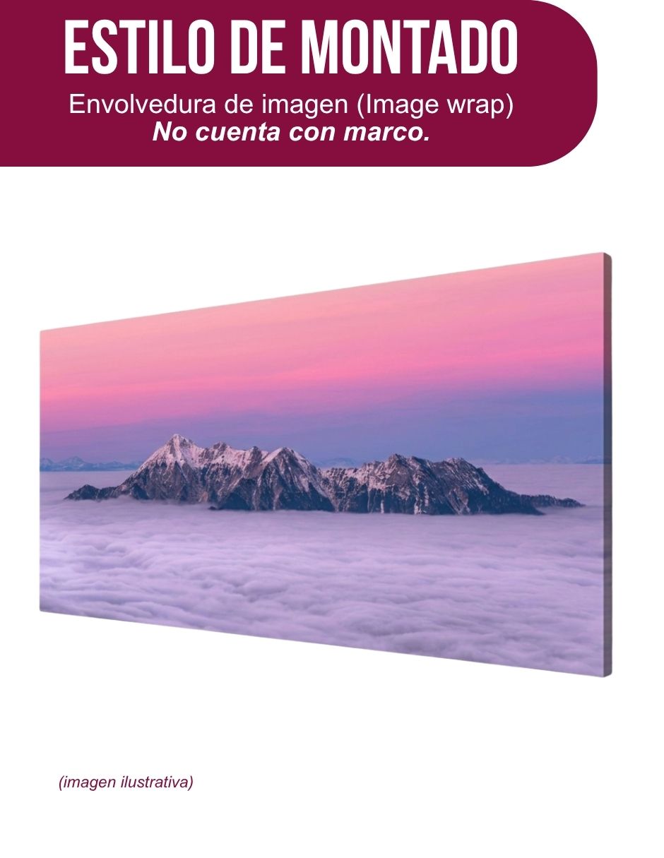 Cuadro decorativo generica