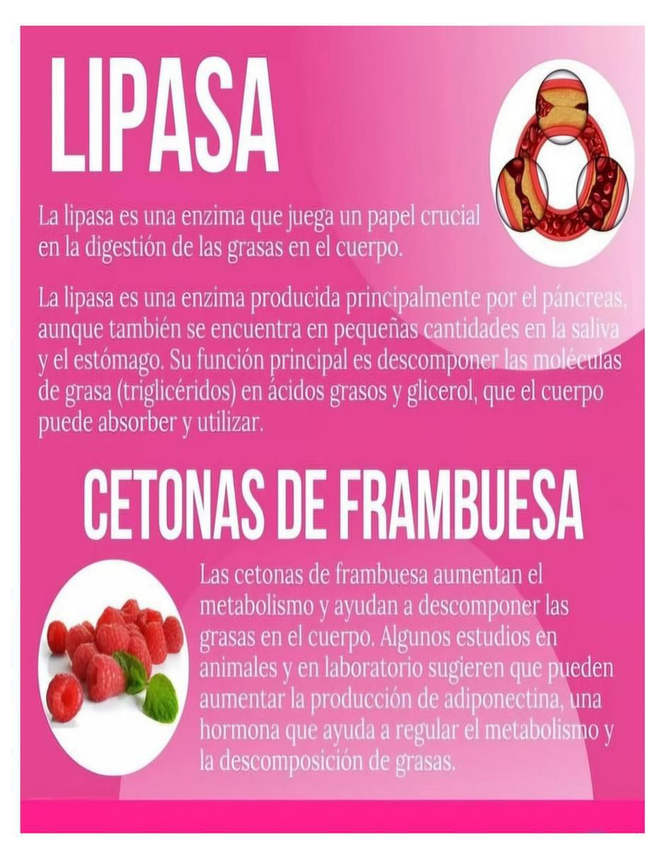 Lipoenzimas Natura con multivitaminico de 90 cápsulas