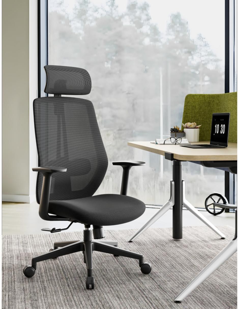 Silla de escritorio ergonómica Form Design