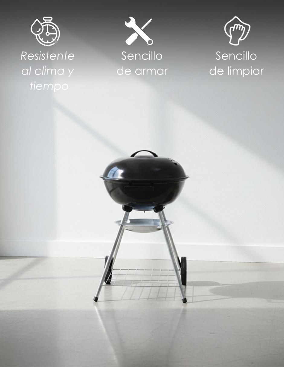 Asador de carbón Blaze 2