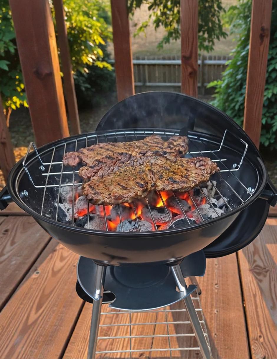 Asador de carbón Blaze 4