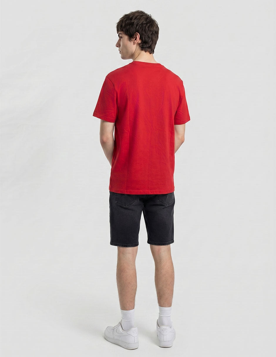 Playera