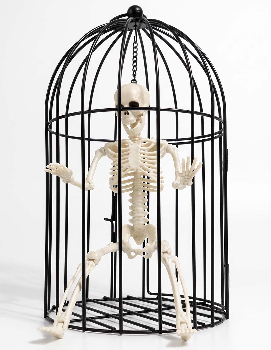 CALAVERA EN JAULA NEGRA 1