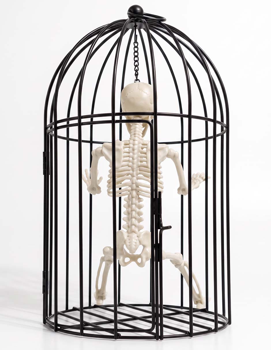 CALAVERA EN JAULA NEGRA