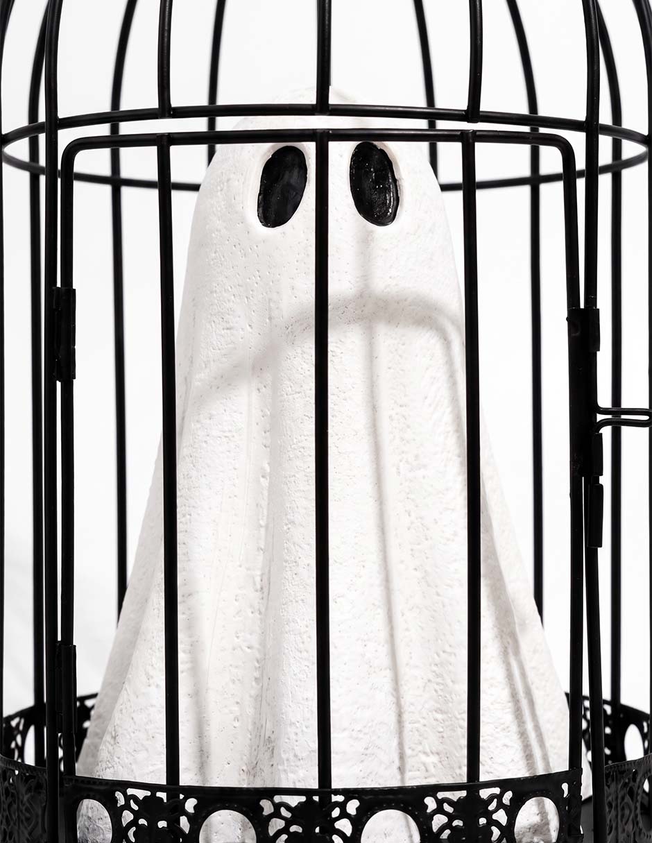 FANTASMA LED EN JAULA NEGRA 3