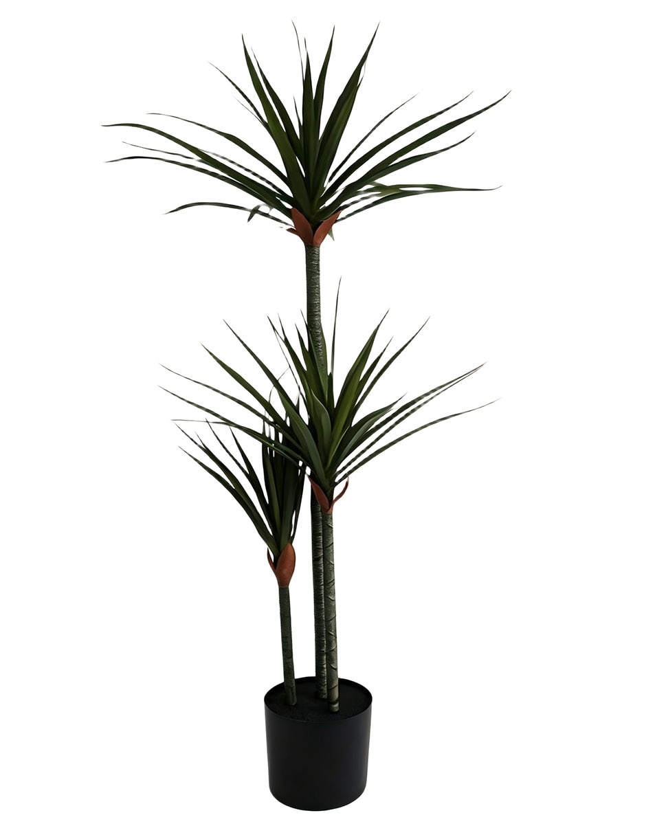 Acacia artificial Acacia artificial